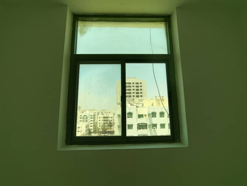 12 10201. jpg