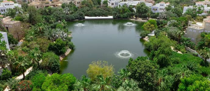 Popular green communities in Dubai with apartments and villas Popular green communities in Dubai with apartments and villas