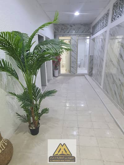 Labour Camp for Rent in Al Bustan, Ajman - WhatsApp Image 2026-05-19 at 12.24. 25. jpeg Labour Camp for Rent in Al Bustan, Ajman - WhatsApp Image 2026-05-19 at 12.24. 25. jpeg