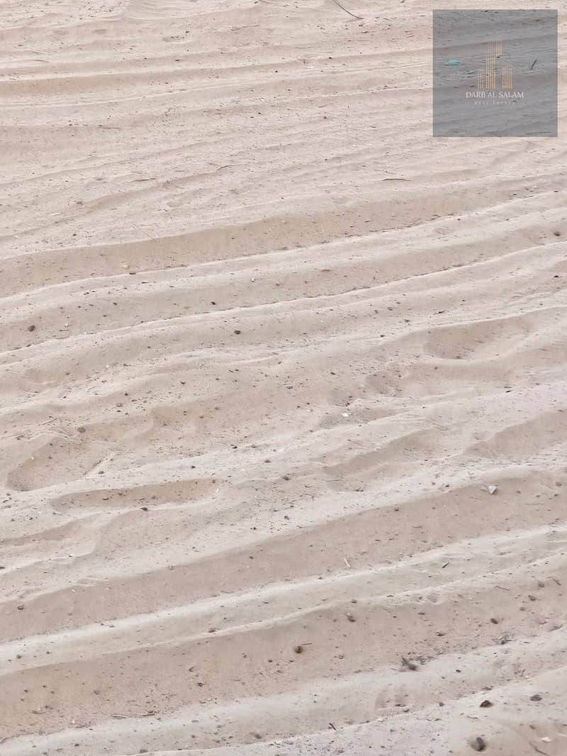 3 59. jpeg