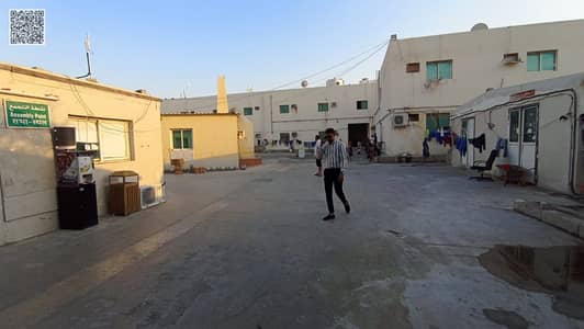 Labour Camp for Rent in Al Jurf, Ajman - WhatsApp Image 2026-07-07 at 12.07. 22 PM (1). jpeg