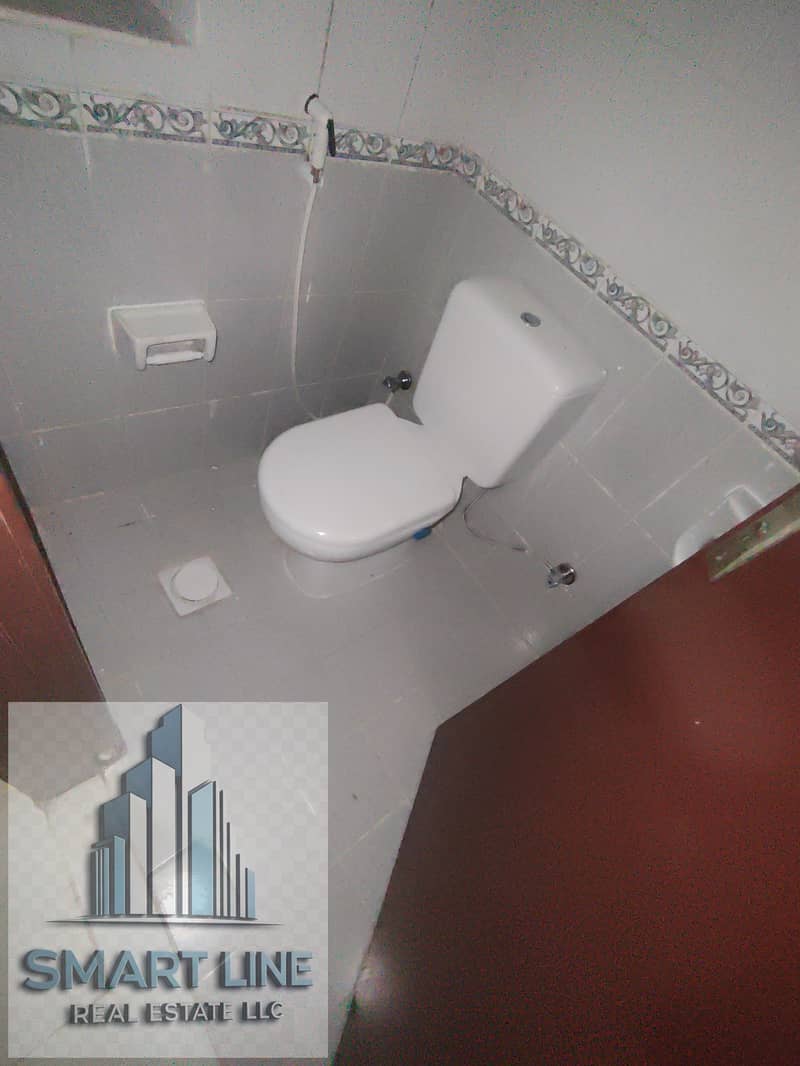 14 163391. jpg
