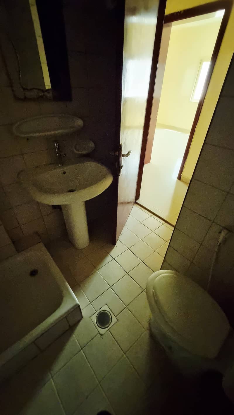 14 281106. jpg
