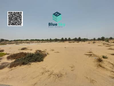 Plot for Sale in Al Amerah, Ajman - IMG-20250626-WA0048. jpg Plot for Sale in Al Amerah, Ajman - IMG-20250626-WA0048. jpg