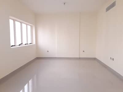 Hot Offer: Fully Renovated 3 Bedrooms+3 Bathrooms+Balcony 65k Hot Offer: Fully Renovated 3 Bedrooms+3 Bathrooms+Balcony 65k