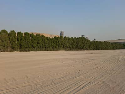 Plot in Affitto a Al Sajaa Industrial, Sharjah - 43b711da-8777-4ad6-9186-4a72e908a5da. jpg Plot in Affitto a Al Sajaa Industrial, Sharjah - 43b711da-8777-4ad6-9186-4a72e908a5da. jpg