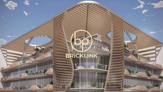 2 1-6. jpg