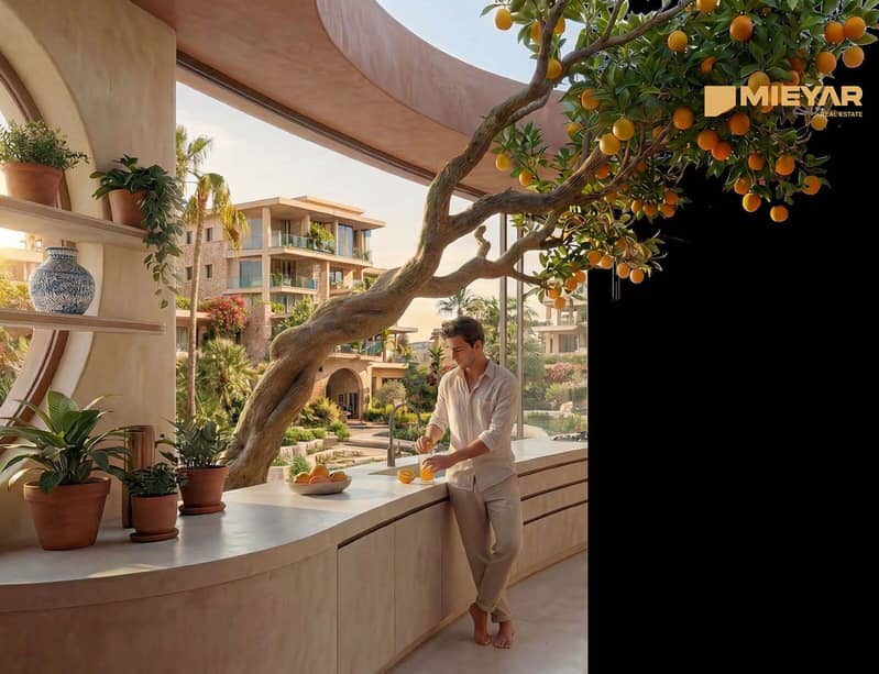 24 pc-terrace. jpg