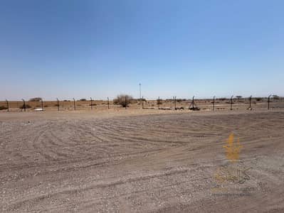 Plot for Rent in Al Dhaid, Sharjah - IMG_3916. jpg Plot for Rent in Al Dhaid, Sharjah - IMG_3916. jpg