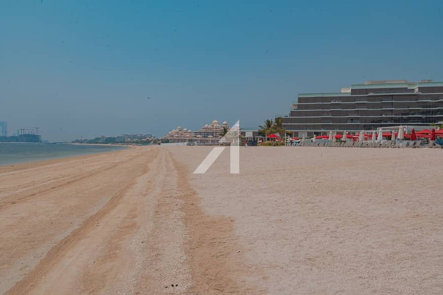 image_0 image_0