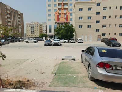 1 Bedroom Flat for Rent in Muwaileh Commercial, Sharjah - 1000073774. jpg 1 Bedroom Flat for Rent in Muwaileh Commercial, Sharjah - 1000073774. jpg