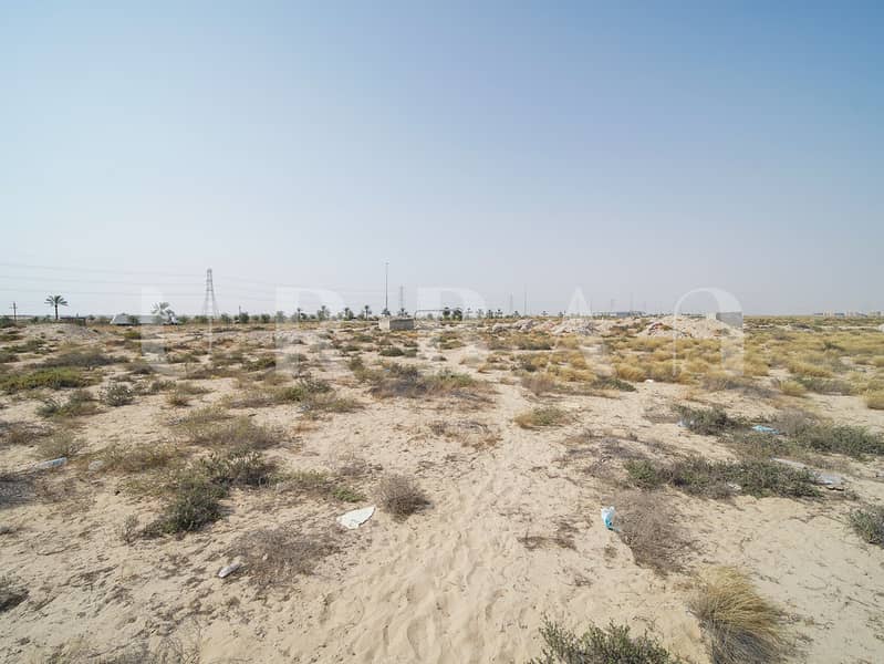 7 ADU08022. JPG
