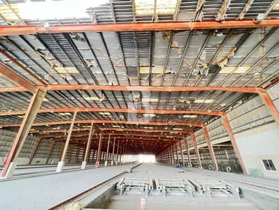 Factory zum zur Miete in Dubai Investments Park (DIP), Dubai - Fabrik in Dubai Investments Park (DIP),Dubai Investments Park 2, 8000000 AED - 15784957 Factory zum zur Miete in Dubai Investments Park (DIP), Dubai - Fabrik in Dubai Investments Park (DIP),Dubai Investments Park 2, 8000000 AED - 15784957