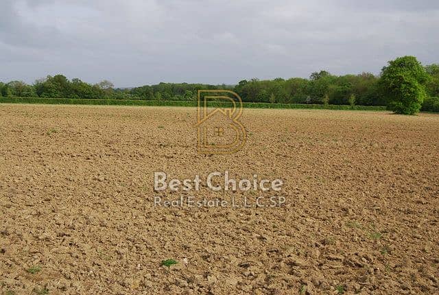 2 Fallow_field_by_Coldharbour_Lane_-_geograph. org. uk_-_1309079. jpg