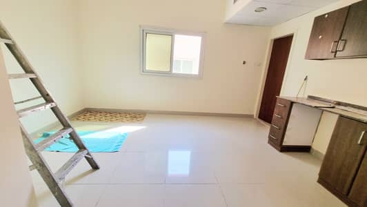 Studio for Rent in Muwaileh Commercial, Sharjah - 288974. jpg Studio for Rent in Muwaileh Commercial, Sharjah - 288974. jpg