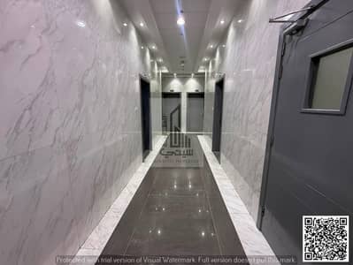 Studio for Rent in Al Yasmeen, Ajman - WhatsApp Image 2026-07-11 at 5.59. 51 PM (1) (1). jpeg Studio for Rent in Al Yasmeen, Ajman - WhatsApp Image 2026-07-11 at 5.59. 51 PM (1) (1). jpeg