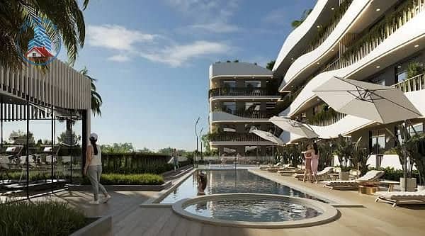 7 images (1). jpg
