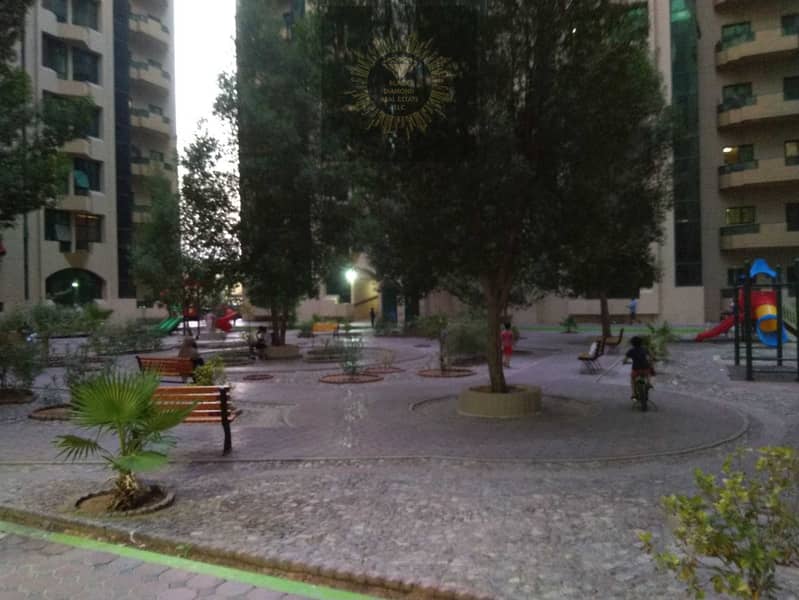 14 rashidiya t 7. jpg