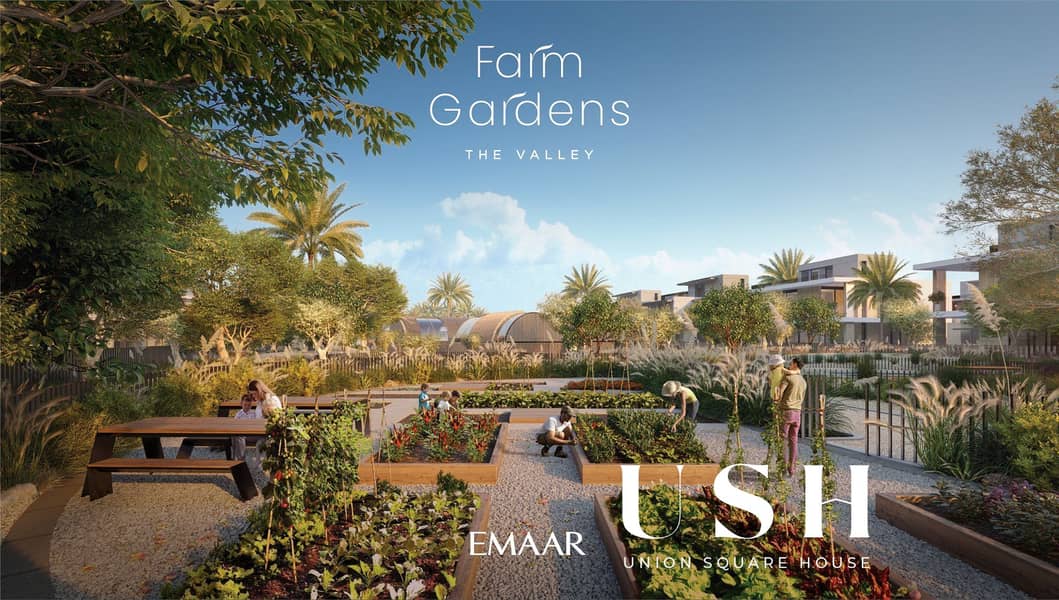 28 emaar-farm_gardens-the_valley-villa-misc-cgi-023. jpg