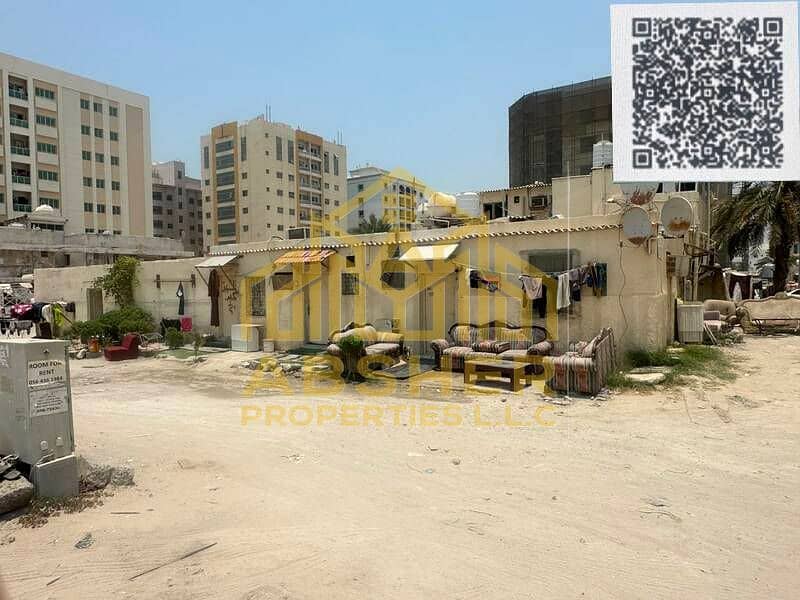 11 0b3b78ed-1ced-45ec-88af-ab747cfd0f6a. jpg