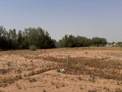 Mixed Use Land for Rent in Al Zubair, Sharjah - WhatsApp Image 2026-07-13 at 3.04. 52 PM. jpeg Mixed Use Land for Rent in Al Zubair, Sharjah - WhatsApp Image 2026-07-13 at 3.04. 52 PM. jpeg