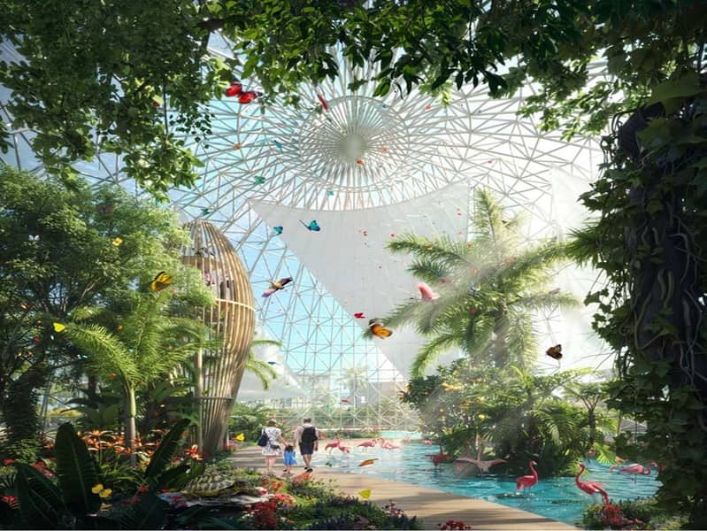 5 DAMAC2. jpg