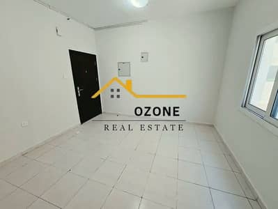 姆瓦伊莱社区, 夏尔迦 单身公寓待租 - 852005658-800x600. webp 姆瓦伊莱社区, 夏尔迦 单身公寓待租 - 852005658-800x600. webp