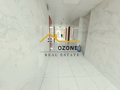 姆瓦伊莱社区, 夏尔迦 单身公寓待租 - 852005774-800x600. webp 姆瓦伊莱社区, 夏尔迦 单身公寓待租 - 852005774-800x600. webp