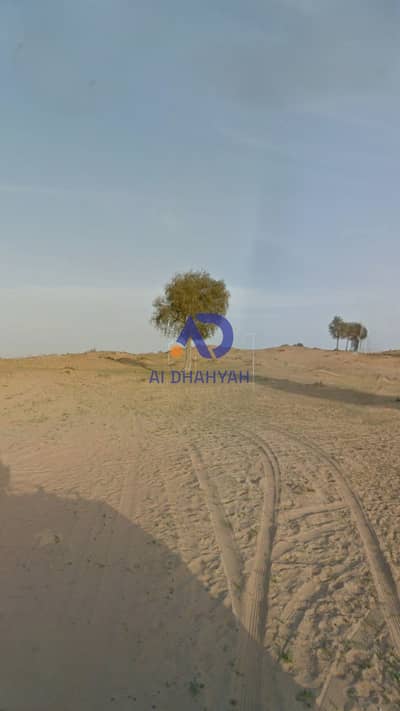 Industrial Land for Sale in Al Hamriyah, Sharjah - 1000591165. jpg