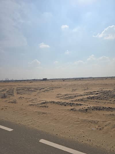 Plot zum zum Verkauf in Al Zubair, Sharjah - WhatsApp Image 2025-12-21 at 11.47. 09 AM (1). jpeg Plot zum zum Verkauf in Al Zubair, Sharjah - WhatsApp Image 2025-12-21 at 11.47. 09 AM (1). jpeg