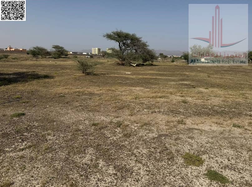 3 WhatsApp Image 2026-06-16 at 5.07. 20 PM (3). jpeg