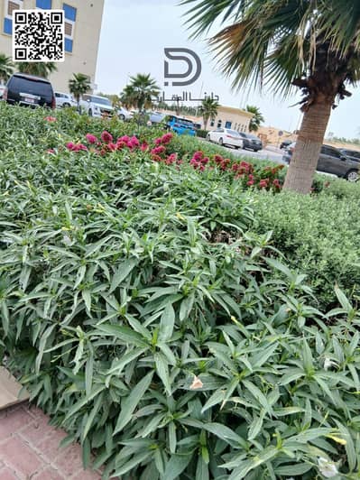 1 Slaapkamer Appartement te Koop in Al Yasmeen, Ajman - WhatsApp Image 2026-04-21 at 10.09. 53 PM. jpeg 1 Slaapkamer Appartement te Koop in Al Yasmeen, Ajman - WhatsApp Image 2026-04-21 at 10.09. 53 PM. jpeg
