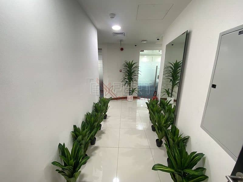 13 Image 13
