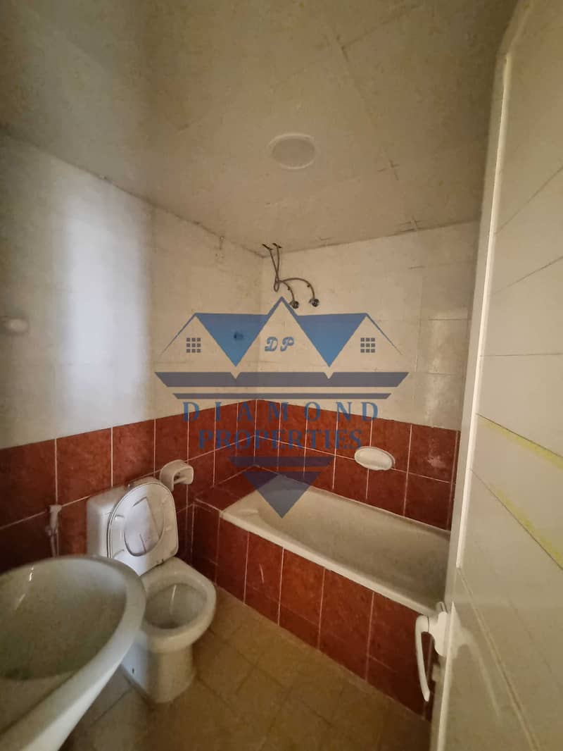 4 99889. jpg