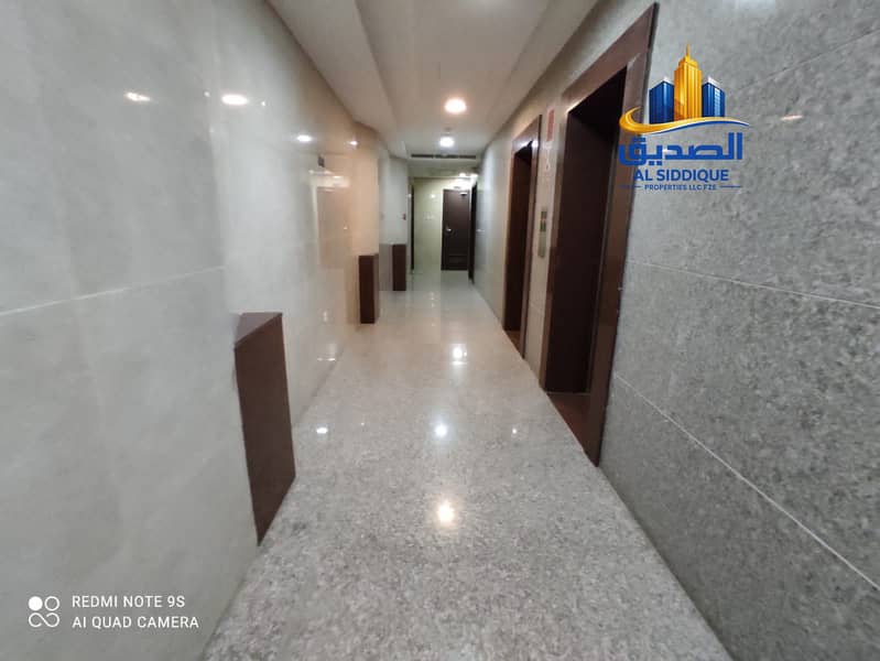 5 1000396033. jpg