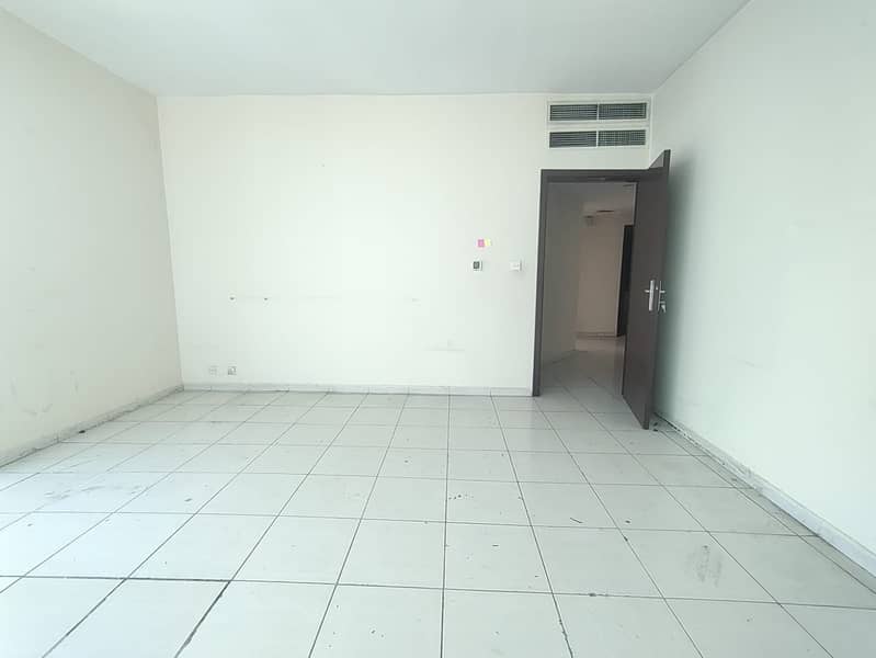 4 12379. jpg