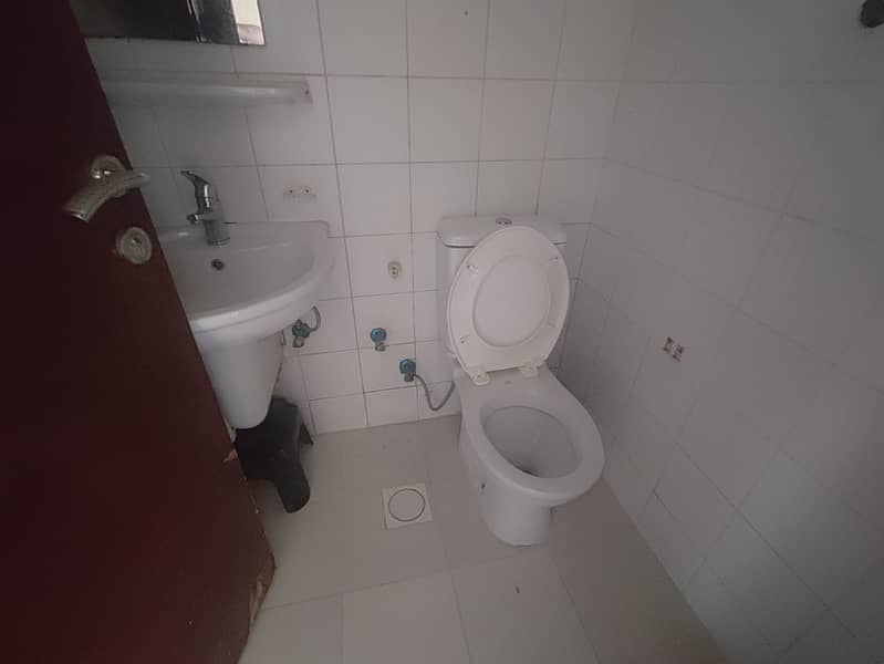 9 12376. jpg