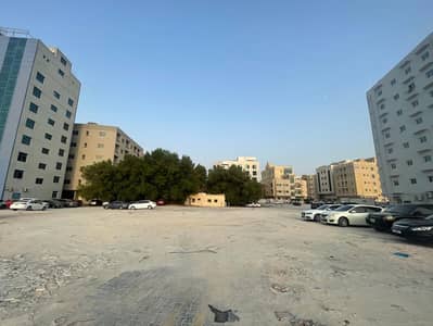Other Commercial  للبيع في العالية، عجمان - WhatsApp Image 2026-07-14 at 8.19. 29 PM (2). jpeg