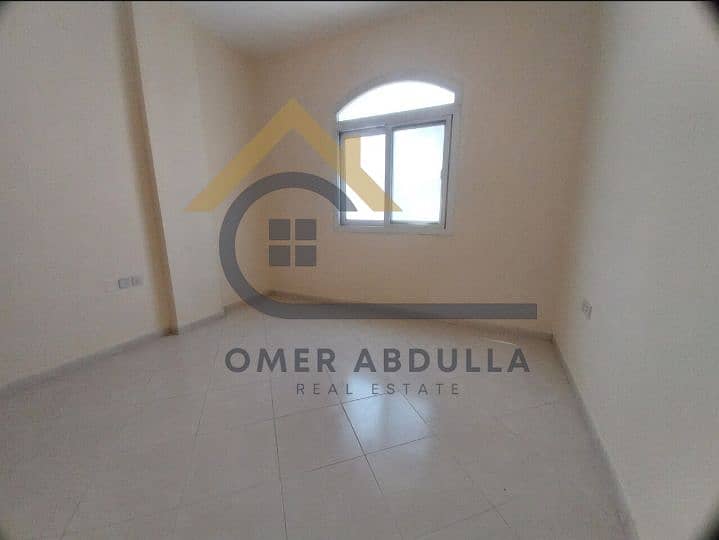 5 445154. jpg