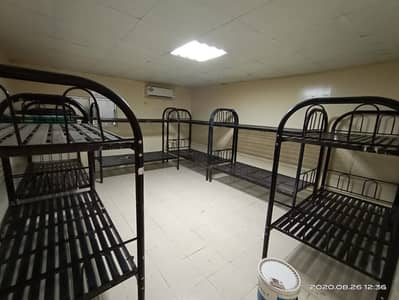 穆萨法赫， 阿布扎比 员工宿舍待租 - BED ROOM