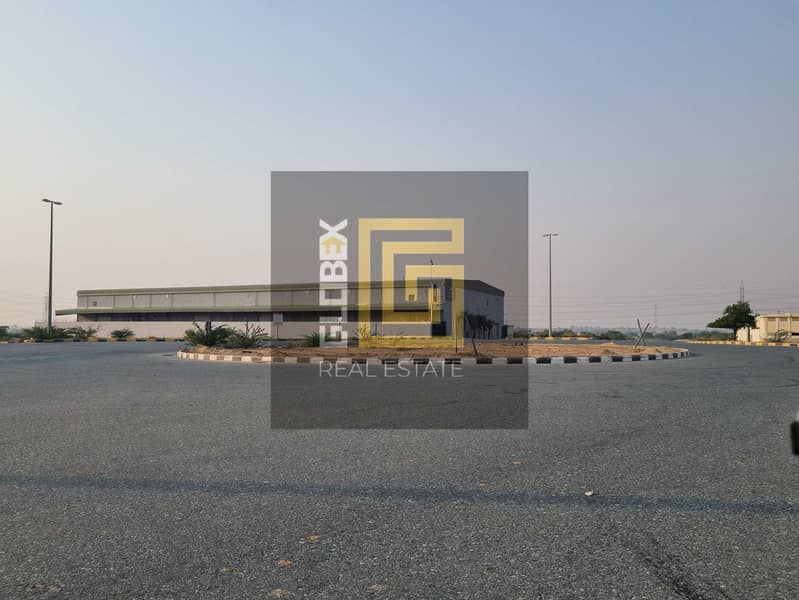 6 20260714_174531. jpg