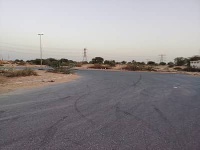 Industrial Land for Sale in Al Hamriyah, Sharjah - 1000713698. jpg Industrial Land for Sale in Al Hamriyah, Sharjah - 1000713698. jpg