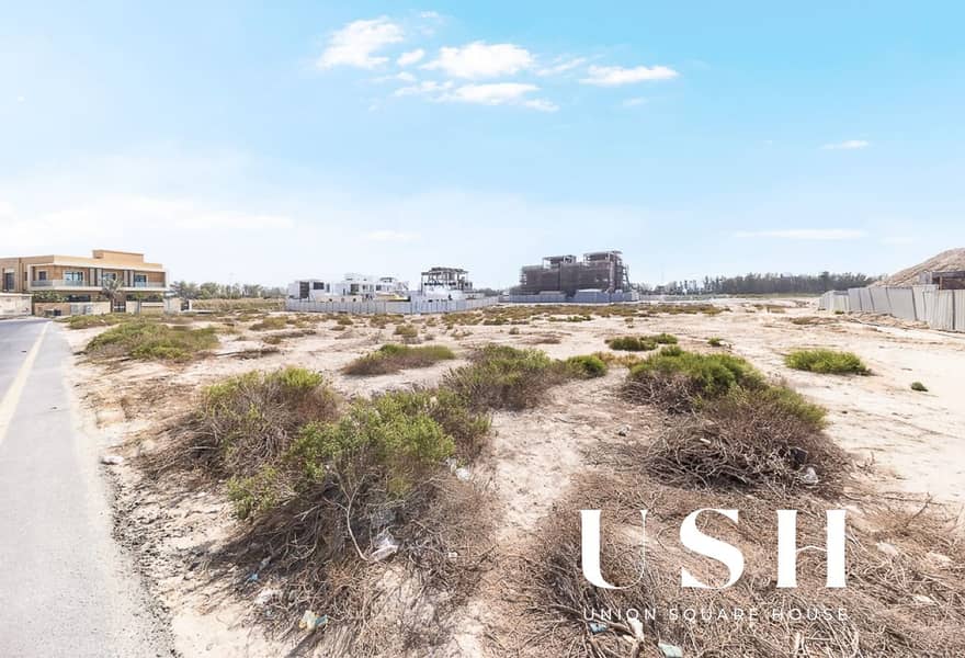 17 d17. jpg
