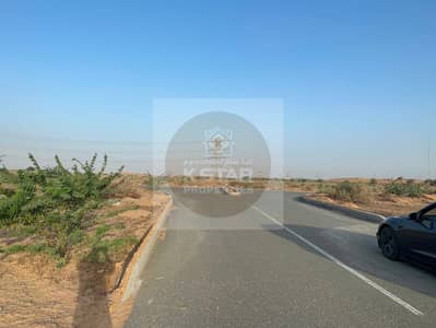 Industrial Land for Sale in Al Hamriyah, Sharjah - 13. jpg Industrial Land for Sale in Al Hamriyah, Sharjah - 13. jpg