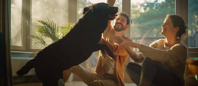 ‘Pawfect’ dog-friendly communities to rent in Dubai ‘Pawfect’ dog-friendly communities to rent in Dubai
