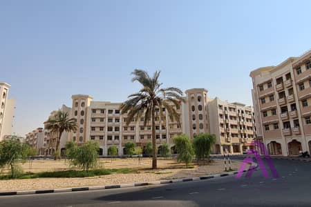 2 habitaciones Apartamento para en Alquiler en International City, Dubai - image(1). jpg