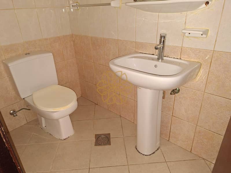 8 147224. jpg