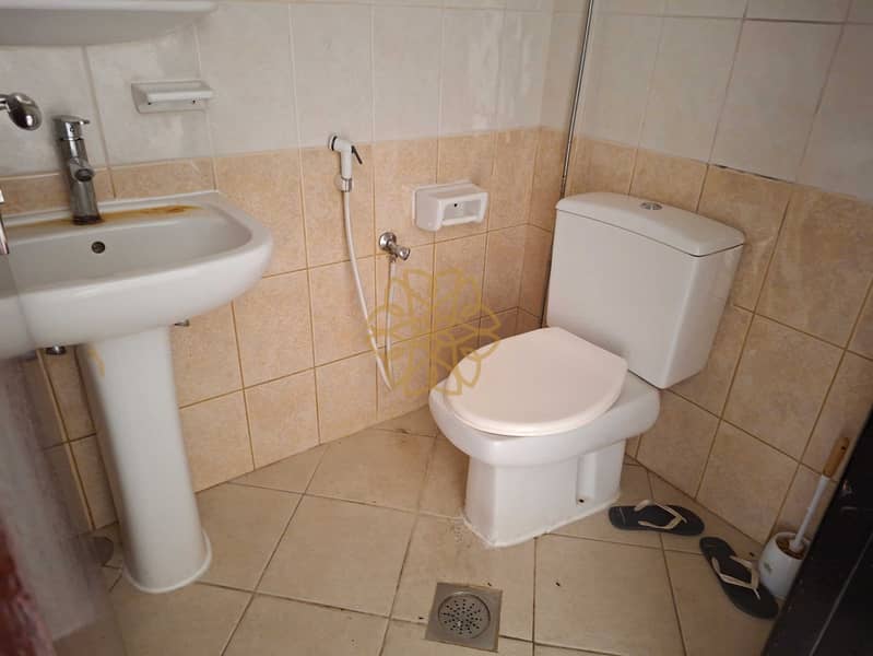 8 147237. jpg