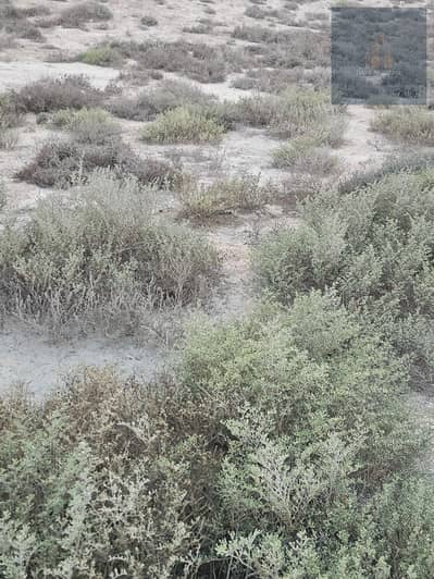 马里哈， 夏尔迦 商业地块待售 - 34. jpeg