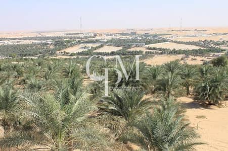 ارض استخدام متعدد للبيع في الظفرة، أبوظبي - 5-Liwa. jpg ارض استخدام متعدد للبيع في الظفرة، أبوظبي - 5-Liwa. jpg